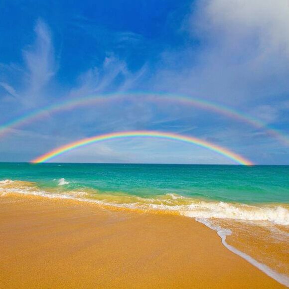 Meet your Posher, Eden! 🌞 Read closet Info! - Picture 4 of 6